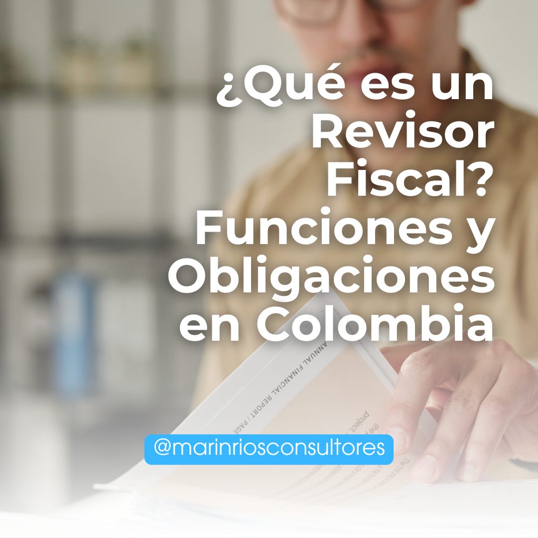 Qué es un Revisor Fiscal