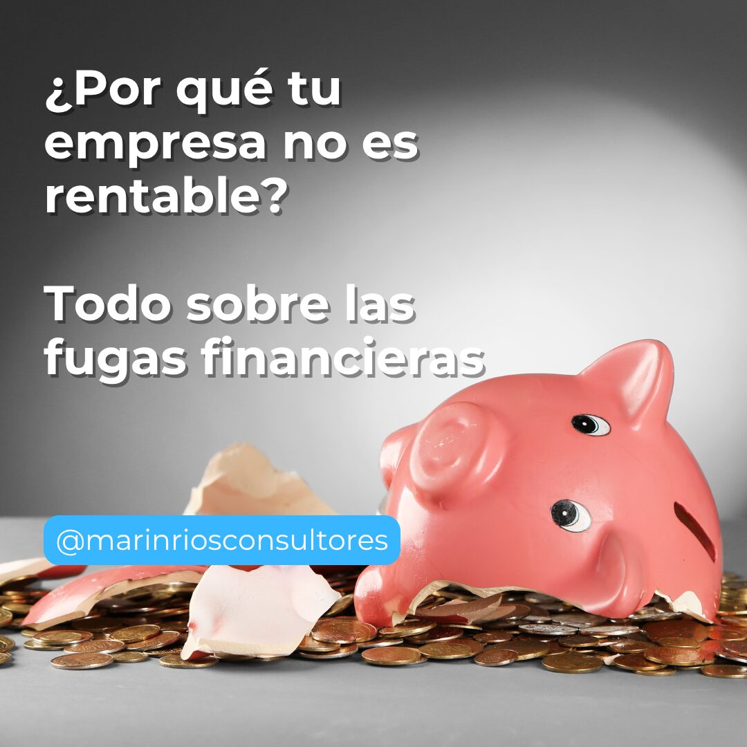 ¿Qué son las fugas financieras?