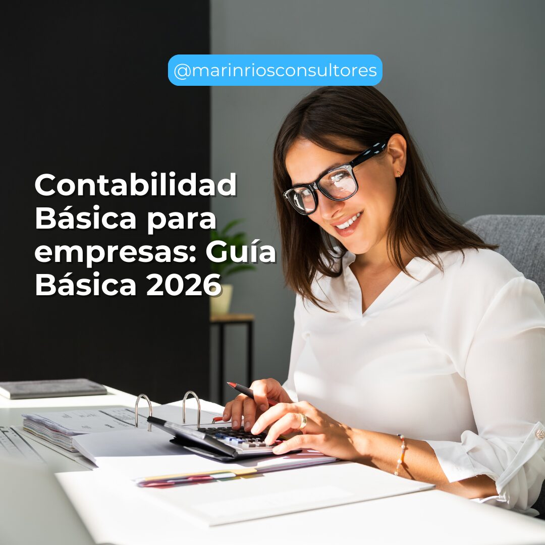 Contabilidad basica para empresas guia 2026