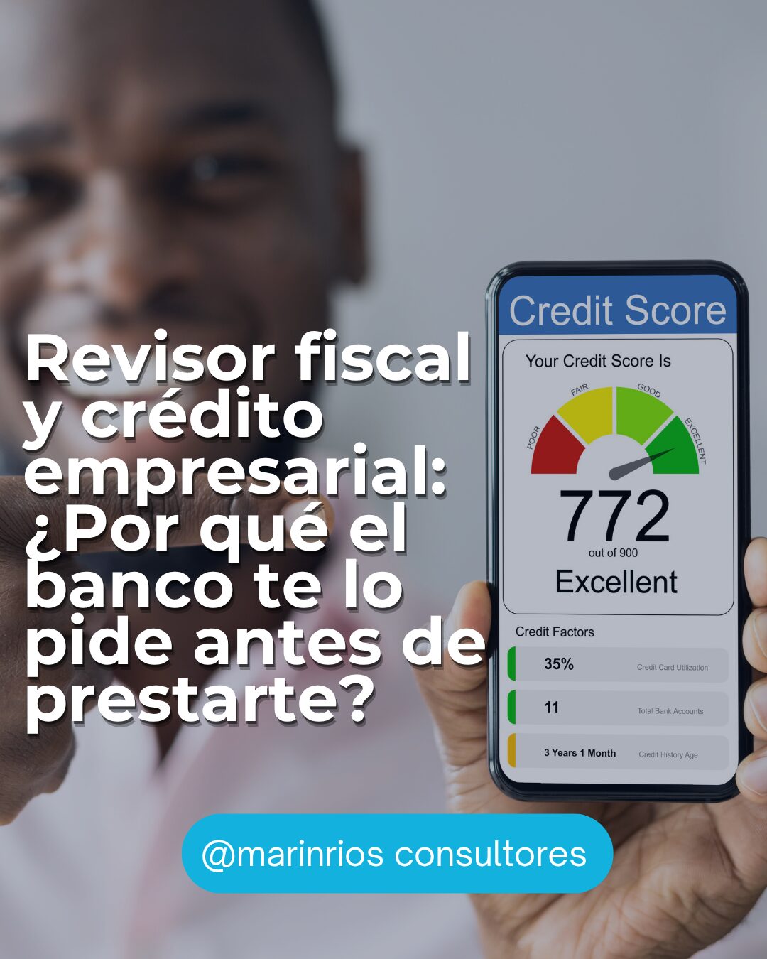 revisor fiscal y credito2