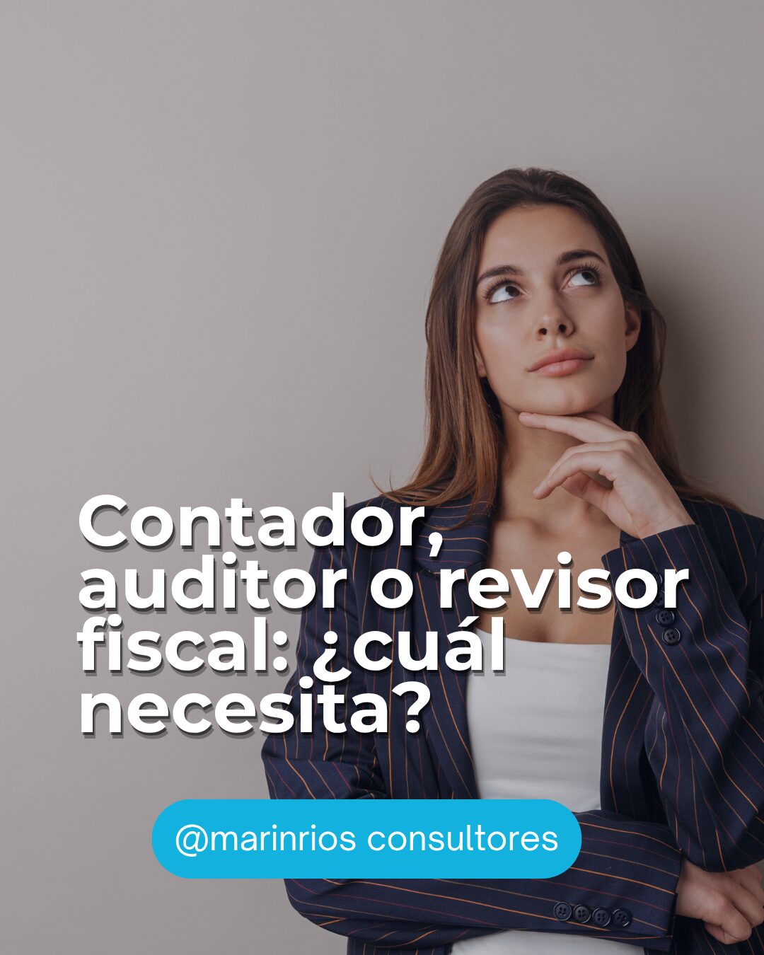 revisor vs contador3
